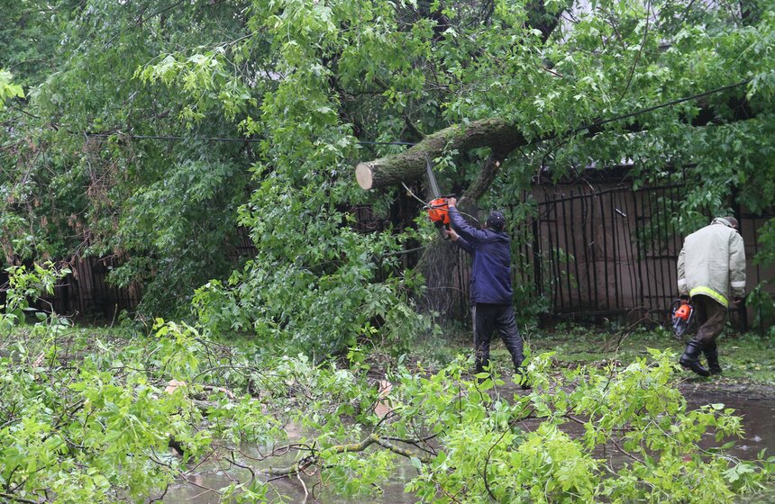 Последствия "вселенского потопа" 8 фото