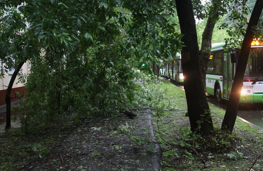 Последствия "вселенского потопа" 14 фото