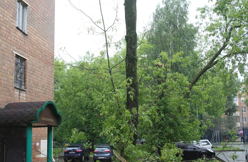 Последствия "вселенского потопа" 16 фото