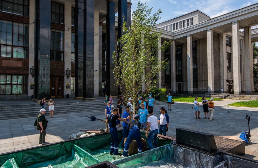 Розы расцвели на ступенях Российской государственной библиотеки 11 фото