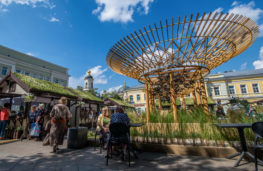 Розы расцвели на ступенях Российской государственной библиотеки 20 фото