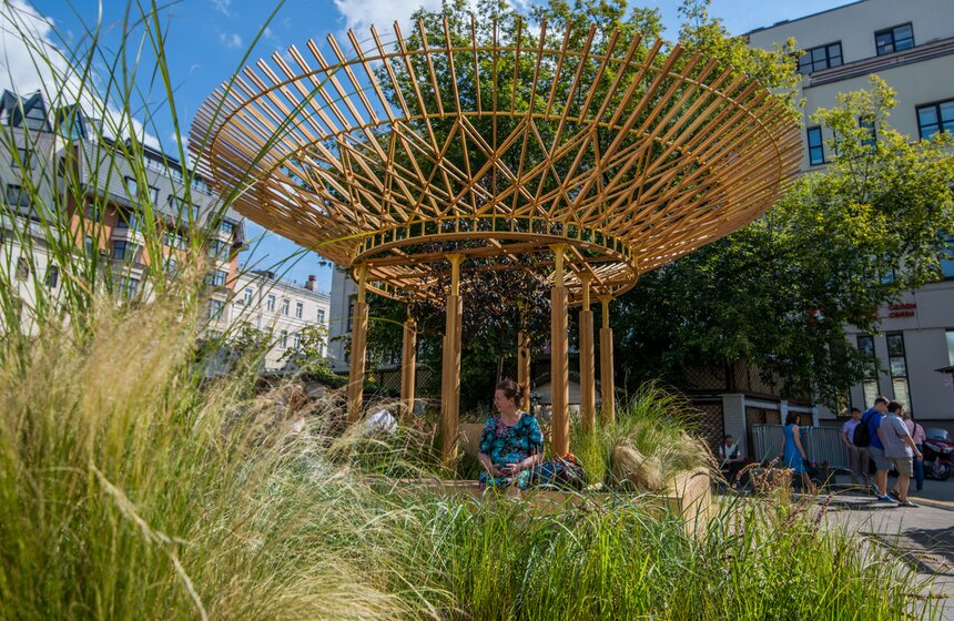 Розы расцвели на ступенях Российской государственной библиотеки 19 фото