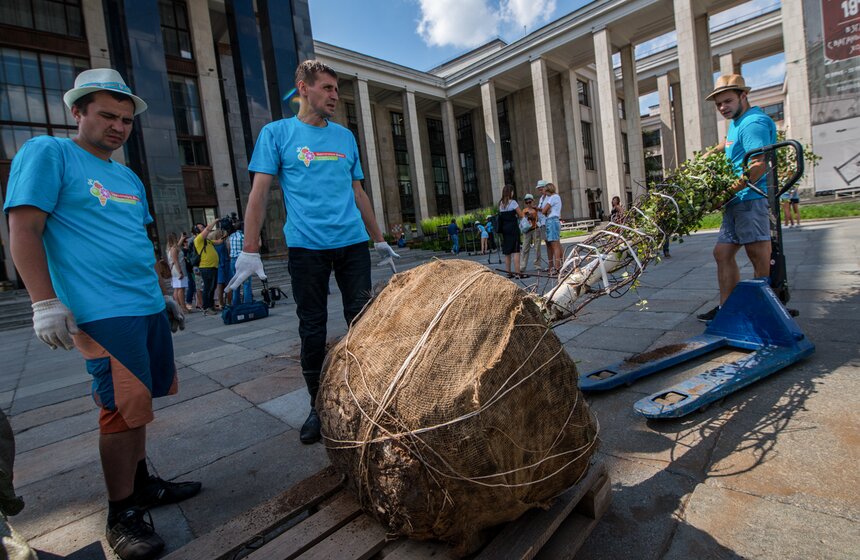 Розы расцвели на ступенях Российской государственной библиотеки 8 фото