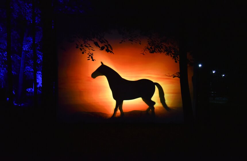 Фестиваль искусств "Вдохновение" открылся на ВДНХ 7 фото