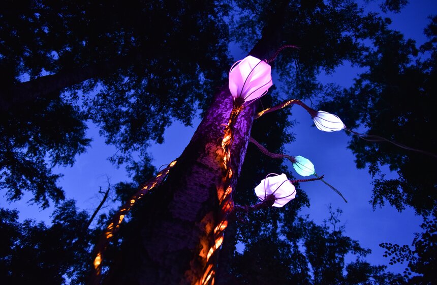 Фестиваль искусств "Вдохновение" открылся на ВДНХ 6 фото