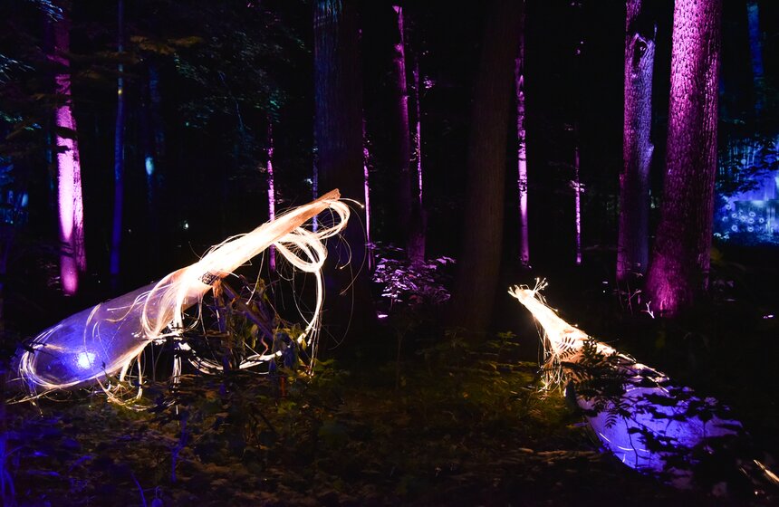 Фестиваль искусств "Вдохновение" открылся на ВДНХ 16 фото