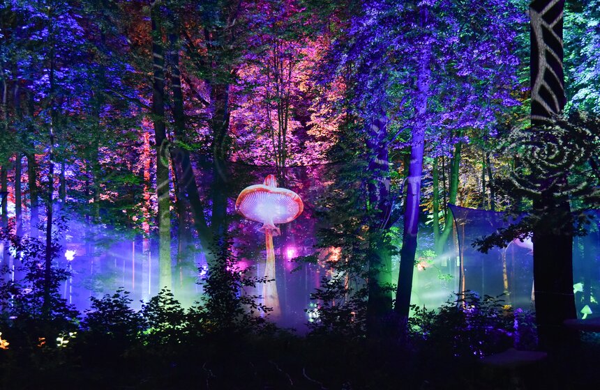 Фестиваль искусств "Вдохновение" открылся на ВДНХ 13 фото