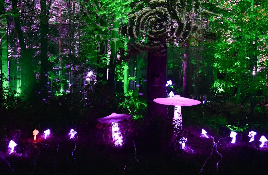 Фестиваль искусств "Вдохновение" открылся на ВДНХ 15 фото