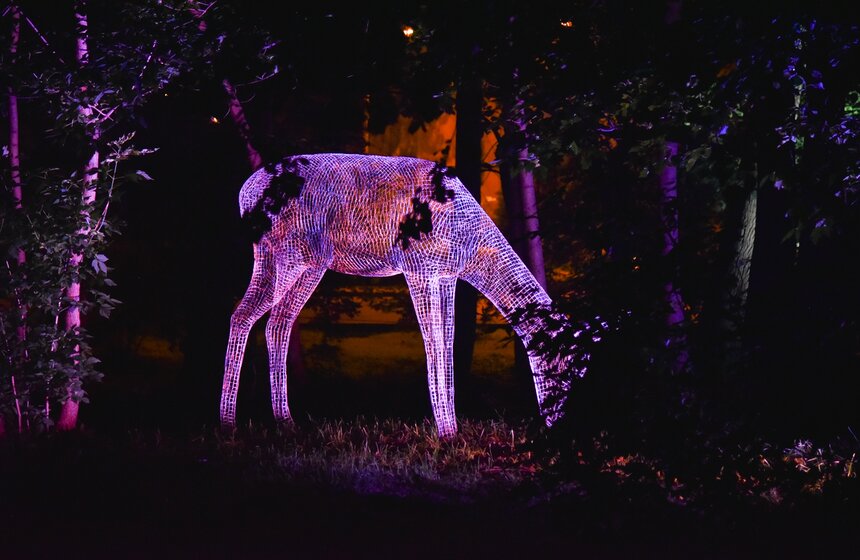 Фестиваль искусств "Вдохновение" открылся на ВДНХ 18 фото