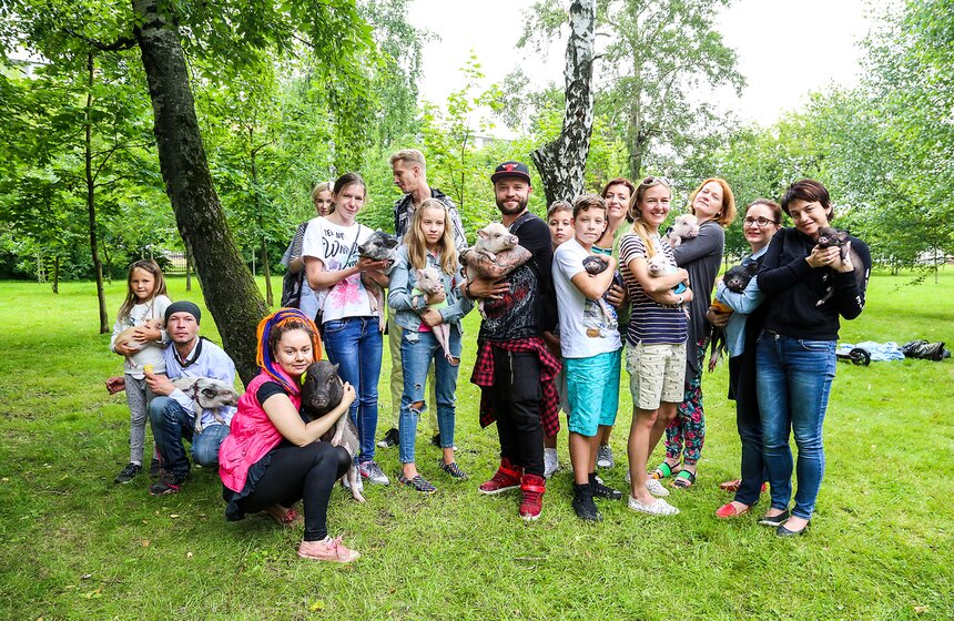 Фестиваль мини-пигов в Измайловском парке 23 фото