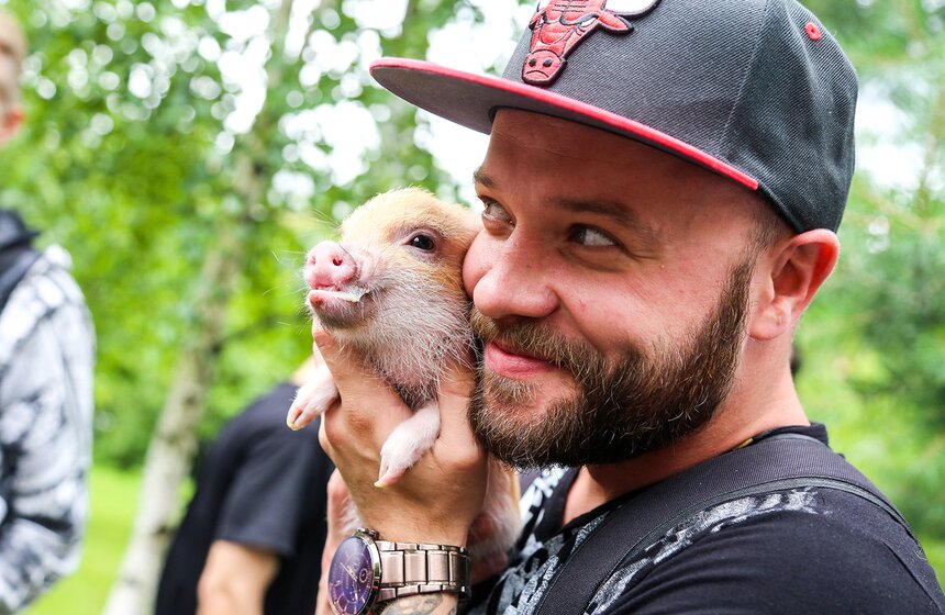 Фестиваль мини-пигов в Измайловском парке 21 фото