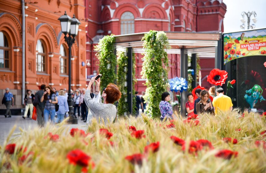 Фестиваль "Московское лето. Цветочный джем" открылся в столице 3 фото
