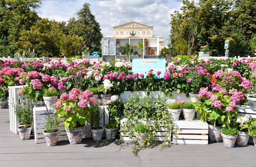 Фестиваль "Московское лето. Цветочный джем" открылся в столице 31 фото