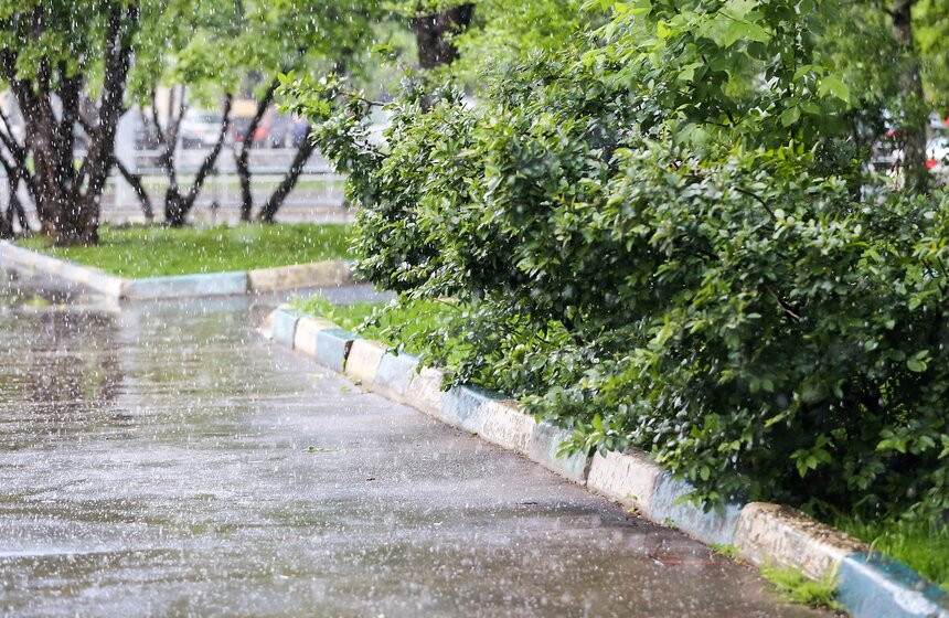 Летний снег прошел в Москве 8 фото