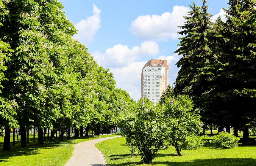 Как цветет сирень в "Сиреневом саду" 1 фото