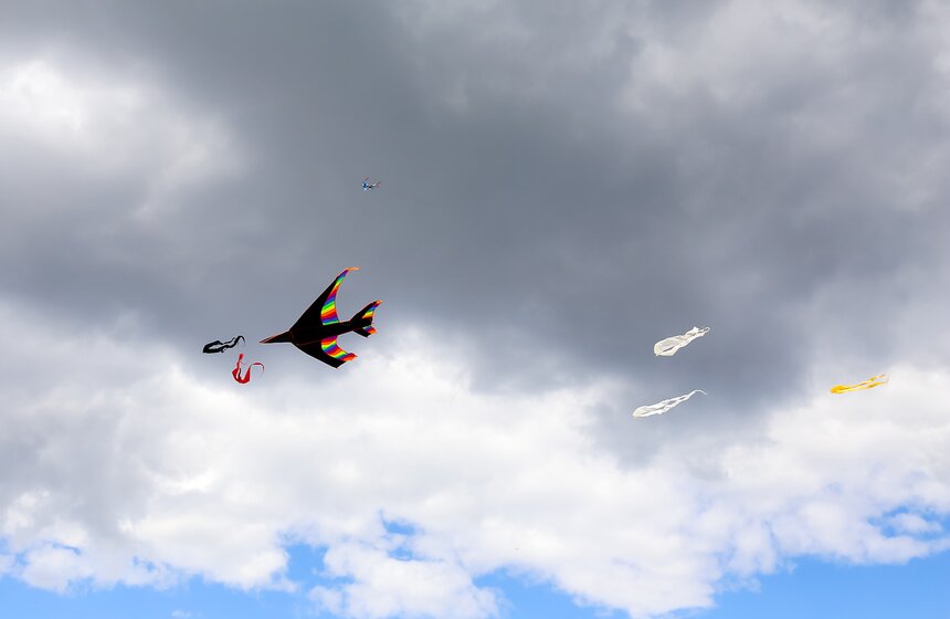 Московский фестиваль воздушных змеев "Пестрое небо" 16 фото