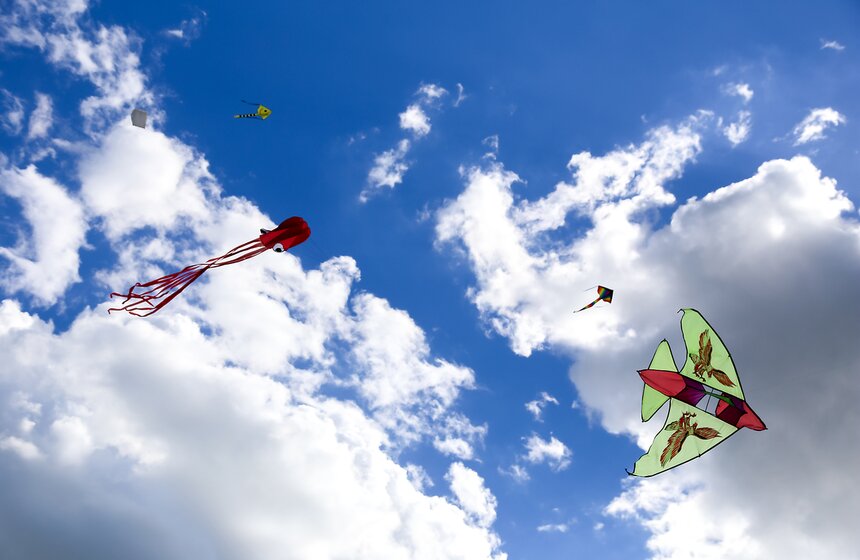 Московский фестиваль воздушных змеев "Пестрое небо" 22 фото