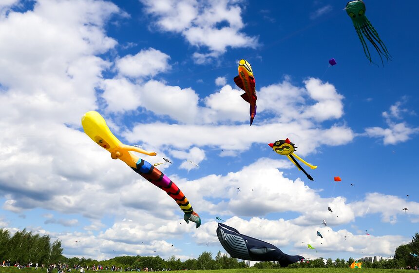 Московский фестиваль воздушных змеев "Пестрое небо" 24 фото