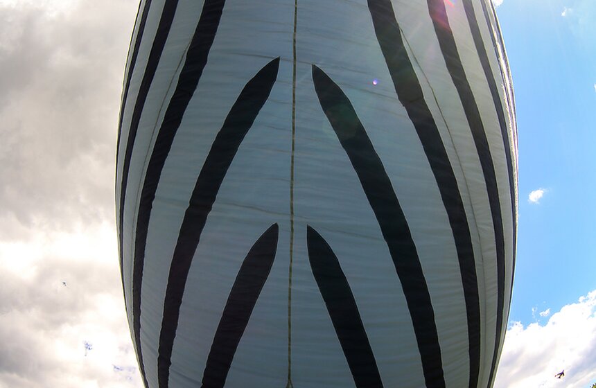 Московский фестиваль воздушных змеев "Пестрое небо" 14 фото