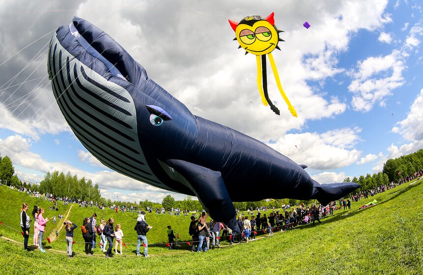 Московский фестиваль воздушных змеев "Пестрое небо" 13 фото