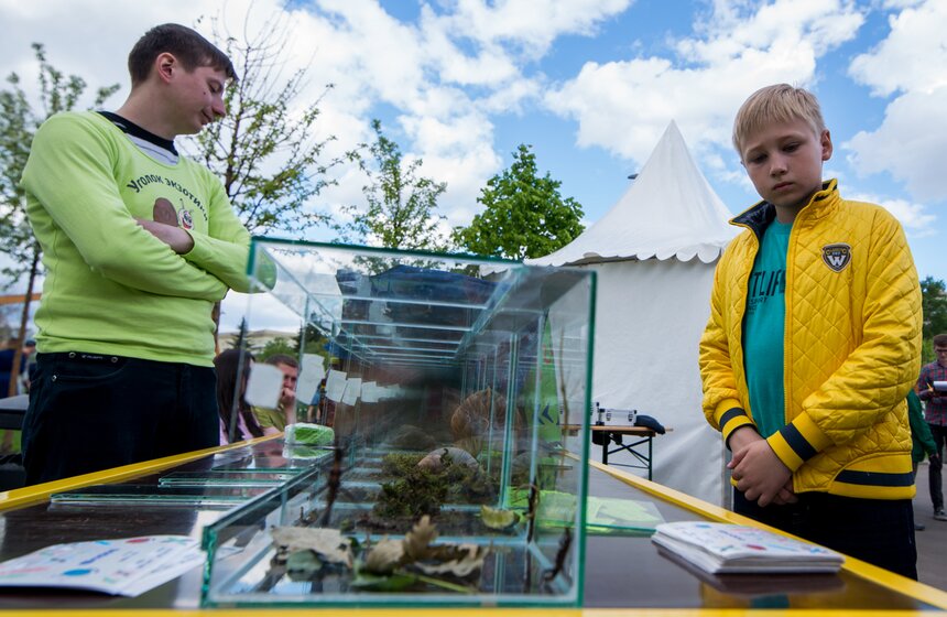 Фестиваль науки, искусства и технологий "Политех" 6 фото