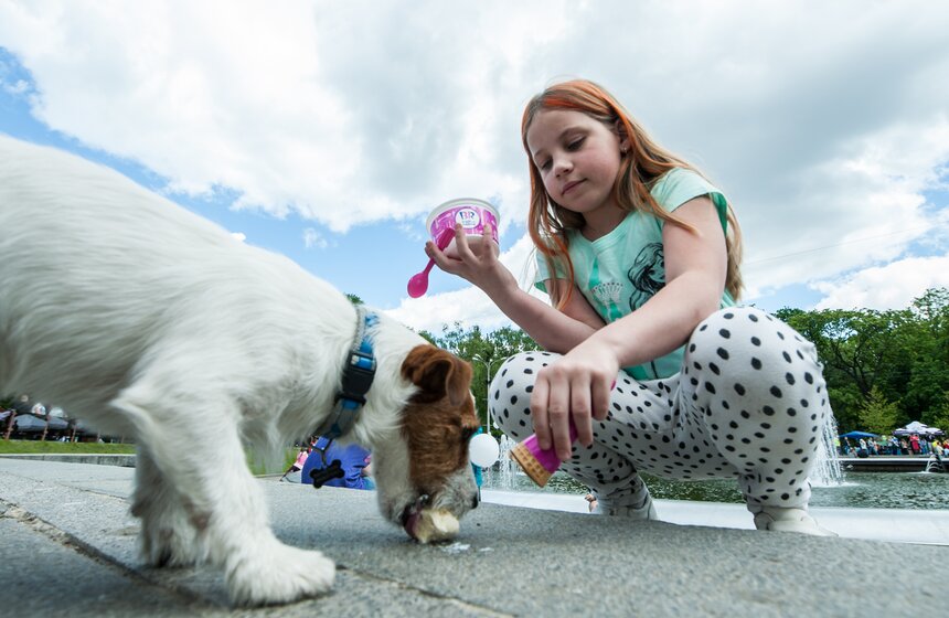 Праздник мороженого в парке "Сокольники" 7 фото