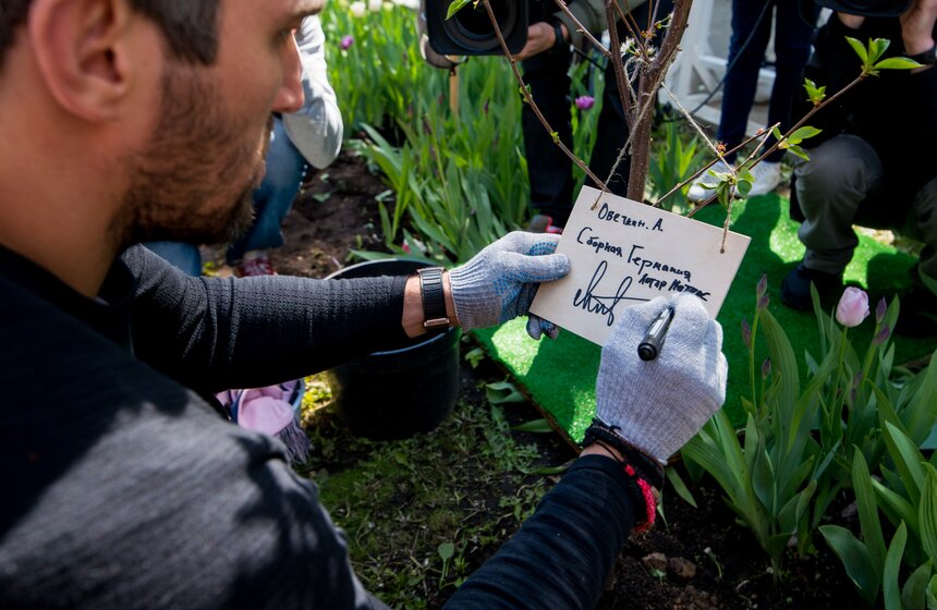 Посадка вишневого сада в рамках фестиваля искусств. Фото 31 фото