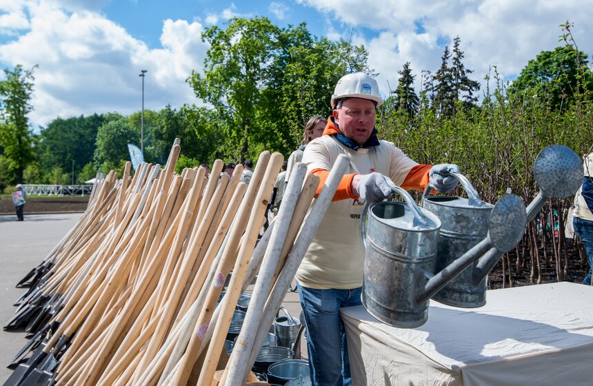 Посадка вишневого сада в рамках фестиваля искусств. Фото 24 фото