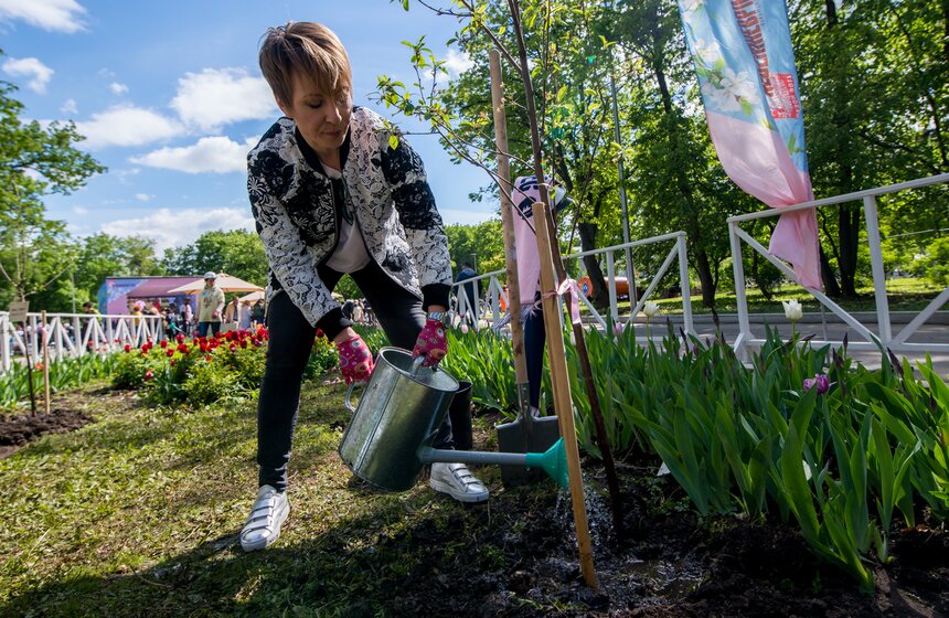 Посадка вишневого сада в рамках фестиваля искусств. Фото 34 фото