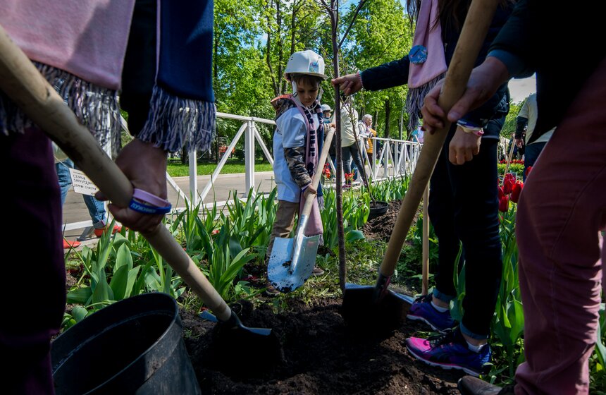 Посадка вишневого сада в рамках фестиваля искусств. Фото 36 фото