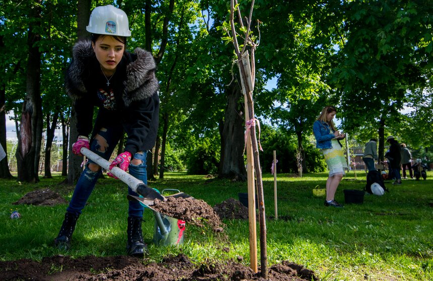 Посадка вишневого сада в рамках фестиваля искусств. Фото 43 фото