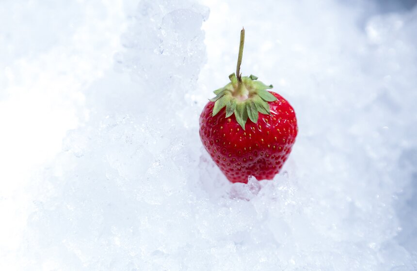 Сезон клубники открылся в Москве. Фото 19 фото
