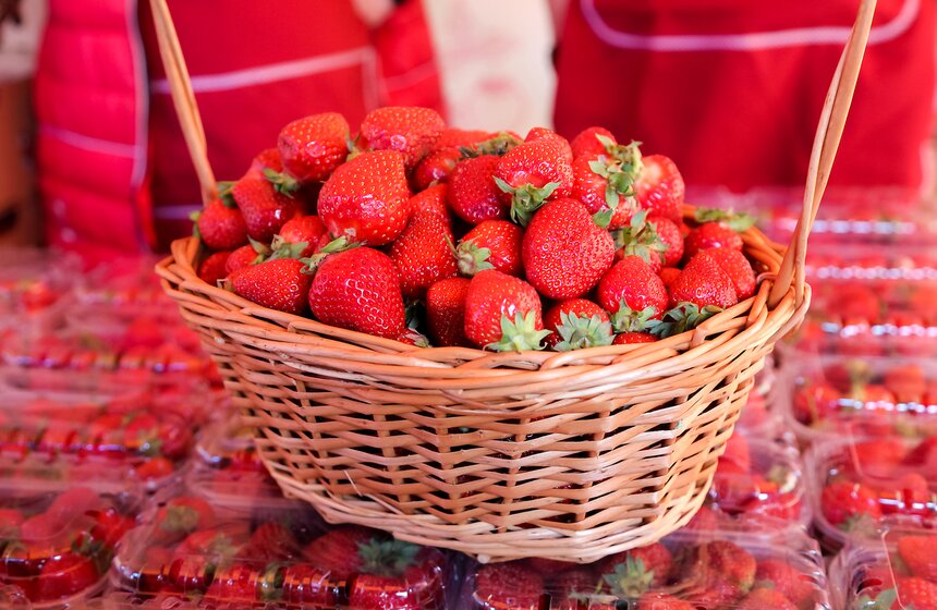 Сезон клубники открылся в Москве. Фото 9 фото