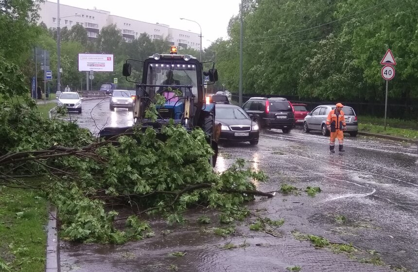 Последствия сильного урагана в столице 1 фото