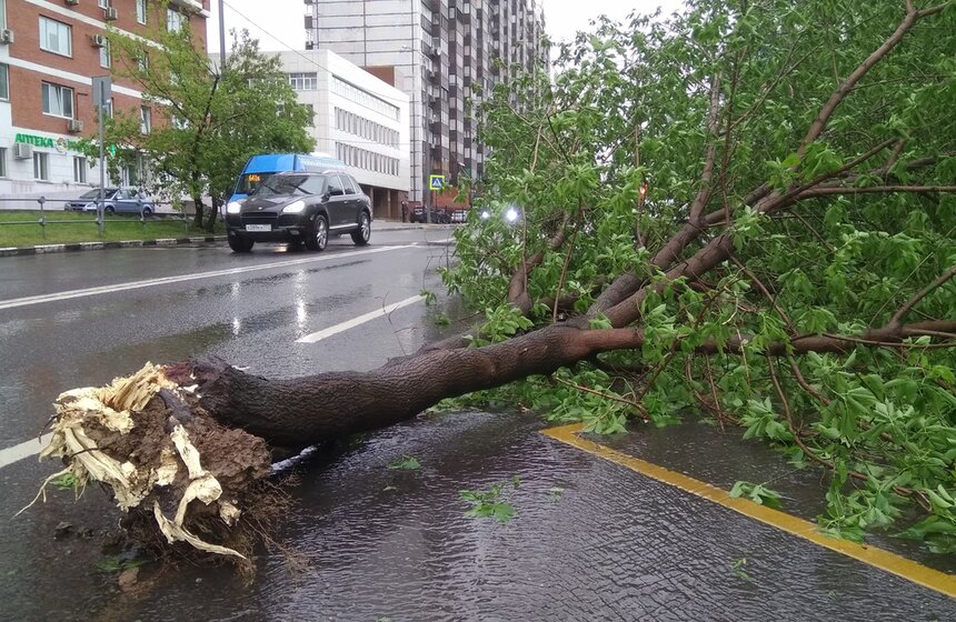 Последствия сильного урагана в столице 3 фото