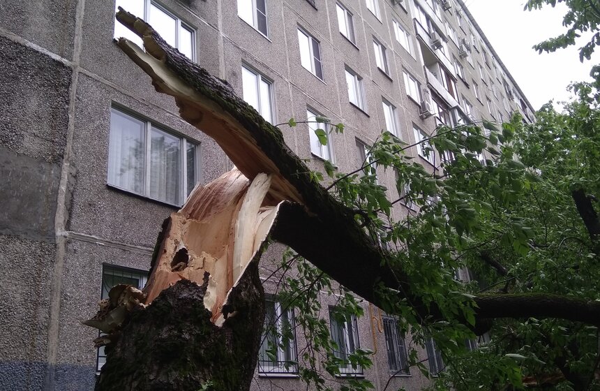 Последствия сильного урагана в столице 4 фото