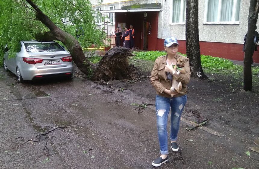 Последствия сильного урагана в столице 6 фото