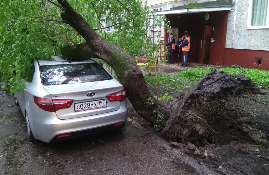 Последствия сильного урагана в столице 5 фото