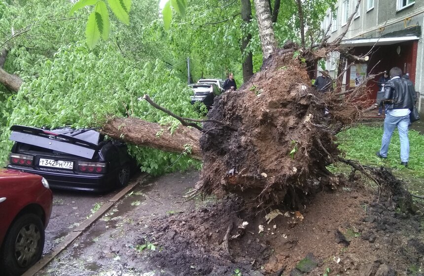 Последствия сильного урагана в столице 7 фото