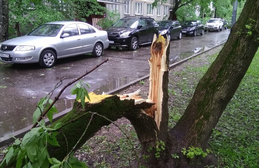 Последствия сильного урагана в столице 9 фото