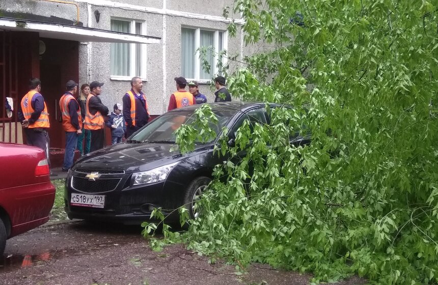 Последствия сильного урагана в столице 8 фото