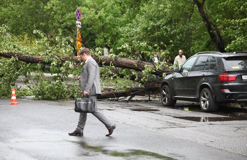 Последствия сильного урагана в столице 13 фото