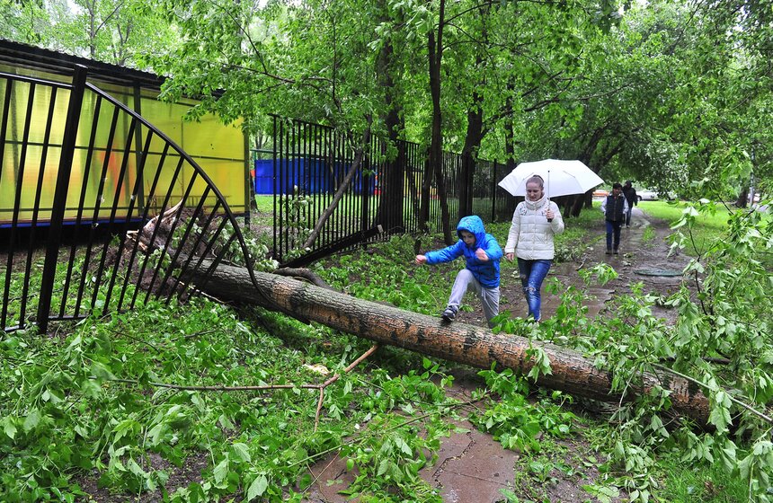 Последствия сильного урагана в столице 12 фото