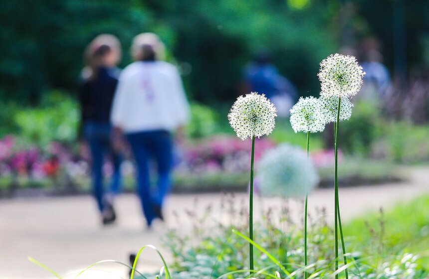 "Большой концерт: классика в центре города" 6 фото
