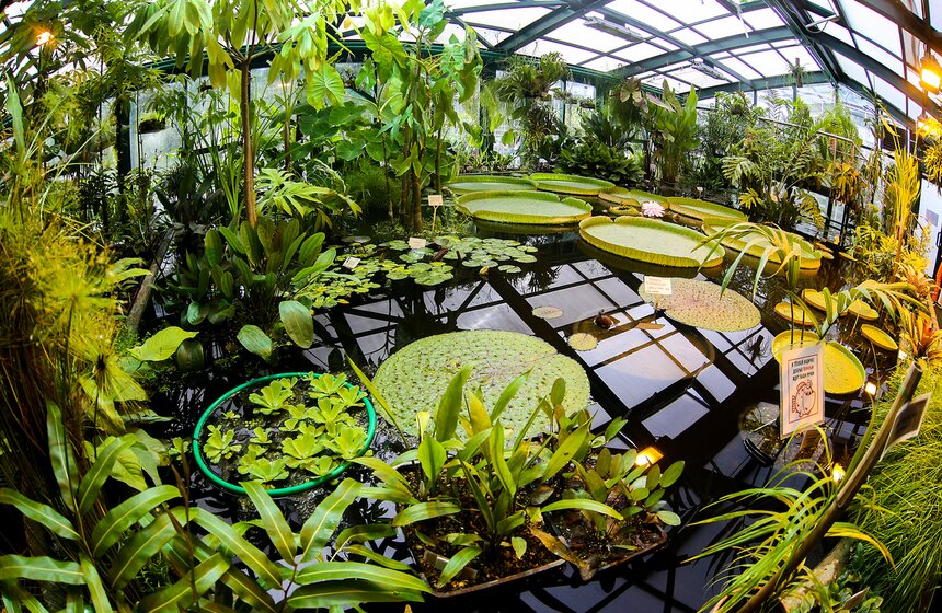 "Большой концерт: классика в центре города" 1 фото