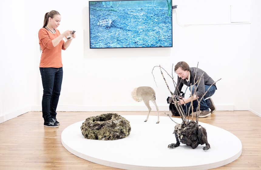 Всего в комитет Биеннале поступило более 600 заявок от современных художников, а в Параллельную программу вошли 69 выставок 49 институций