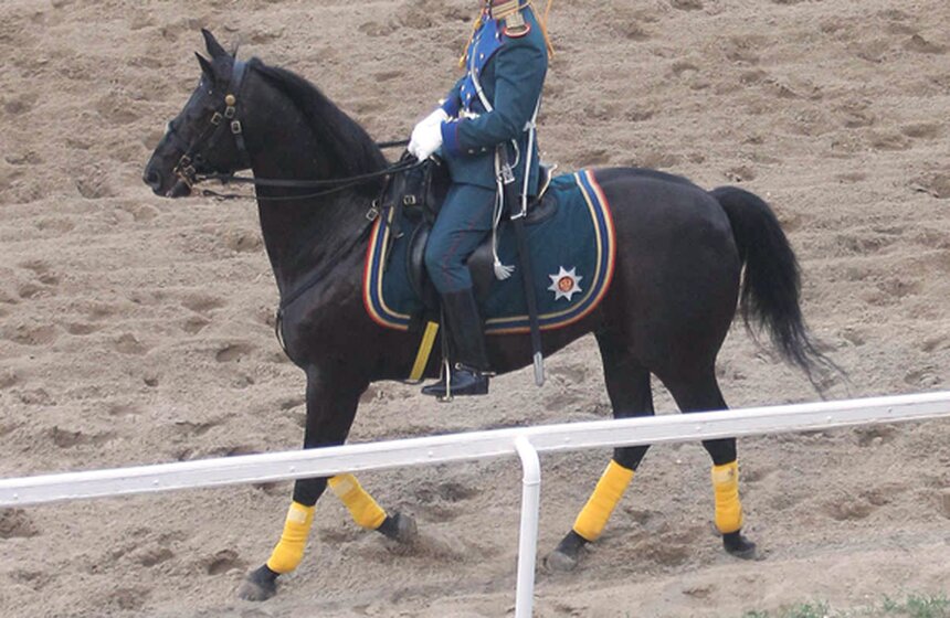 На столичном ипподроме прошли скачки на Кубок президента России 1 фото