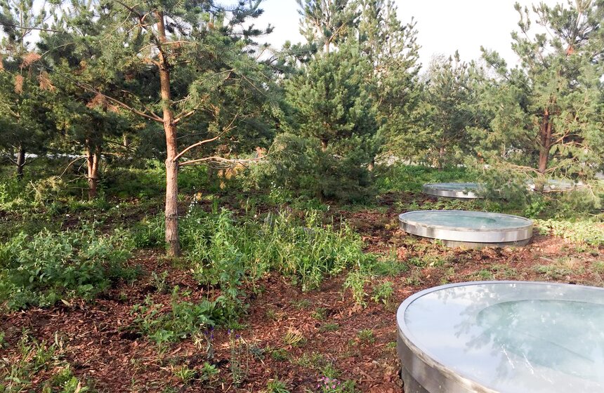 В парке "Зарядье" представлены различные ландшафтные зоны нашей страны