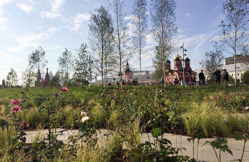 Луга и березовые рощи прямо в центре города