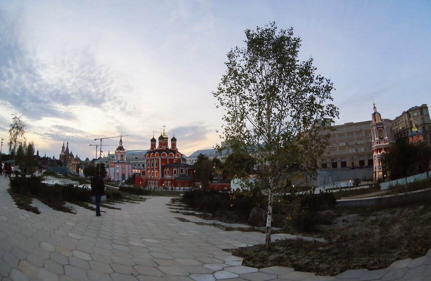 Природа сочетается с городским ландшафтом